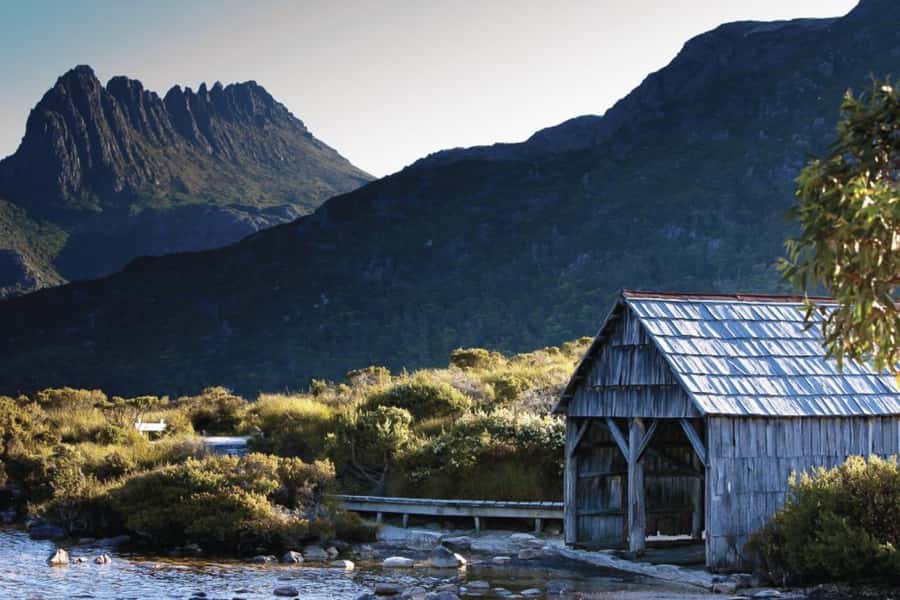 Cradle Mountain: Day Trip from Launceston with Lunch - Waldheim Chalet and the rainforest walk