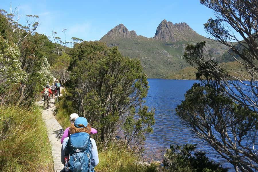 Cradle Mountain: Day Trip from Launceston with Lunch - Sheffield gives the journey a local pause