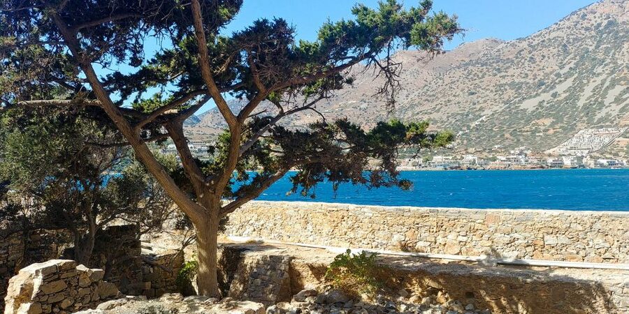 Crete: Day Trip to Agios Nikolaos and Spinalonga Island - Walking through Spinalonga’s difficult past