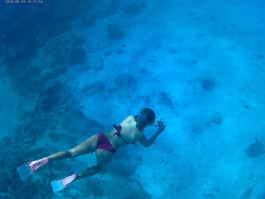 Curieuse and St Pierre Snorkeling Half-Day Trip No BBQ Lunch - Key points to know before booking