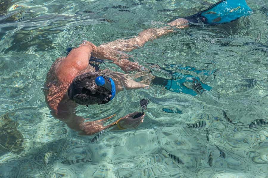 Curieuse and St Pierre Snorkeling Half-Day Trip No BBQ Lunch - Curieuse Island and its giant tortoises