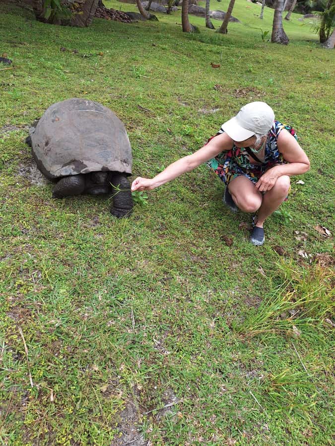Curieuse and St Pierre Snorkeling Half-Day Trip No BBQ Lunch - Final verdict: a smart short outing from Praslin