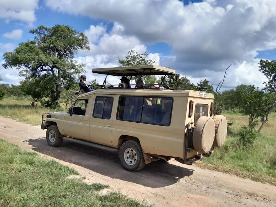 Dar es Salaam: Mikumi National Park Day Trip with Train Ride - Why this Dar es Salaam to Mikumi plan is appealing
