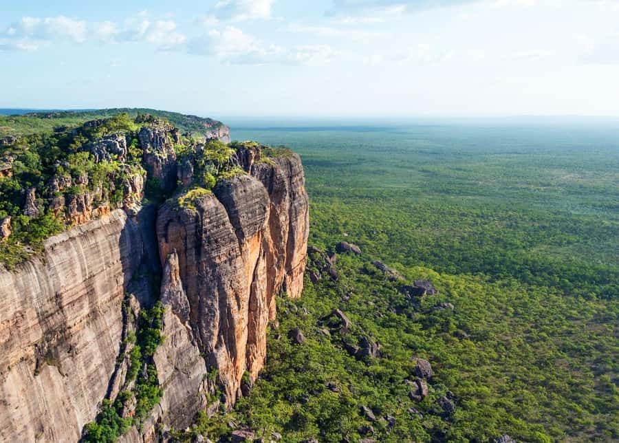 Darwin: Kakadu National Park Day Trip - Yellow Water Billabong by Boat