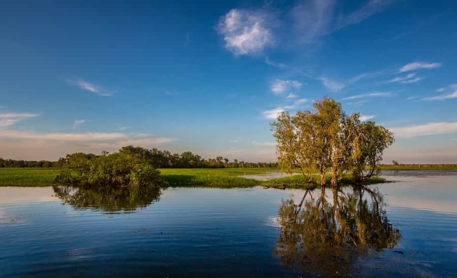 Darwin: Kakadu National Park Day Trip - Wet Season or Dry Season?