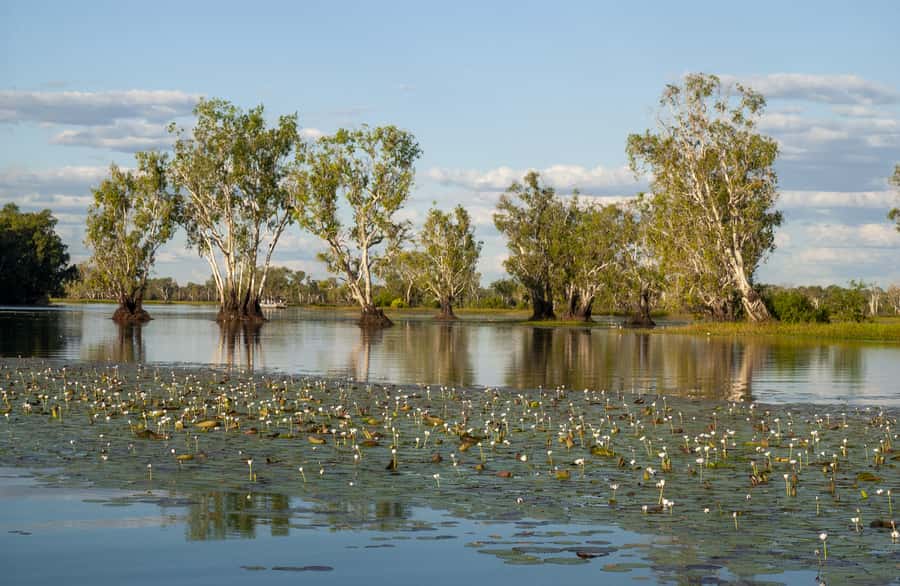 Darwin: Kakadu National Park Day Trip - Scenic Flight: The Best Time-Saver of the Day