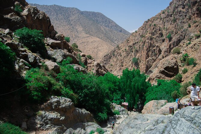 Day trip - Atlas Mountains Ourika Valley Waterfall From Marrakech - Learning about argan oil with a women’s cooperative