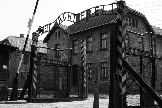 Day Trip: Auschwitz-Birkenau and Wieliczka Salt Mine from Krakow - Who should book this tour?