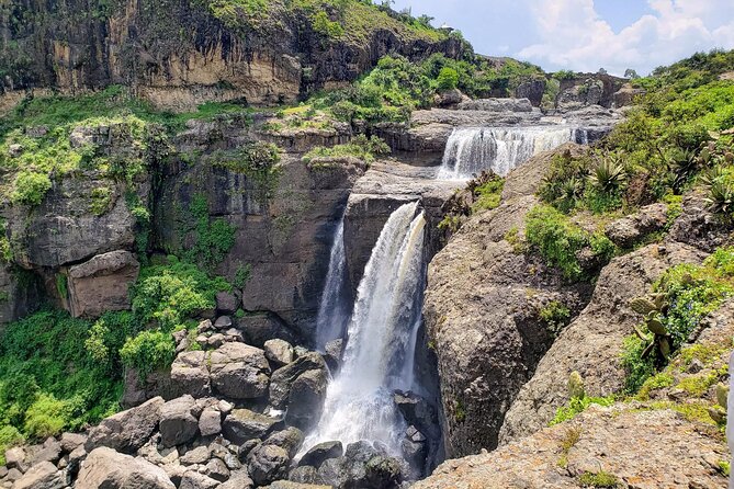 Day Trip From Addis Ababa See Historical Monastery,Stunning Nature,Animals,Birds - Who should book this outing