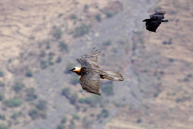 Day Trip From Addis Ababa See Historical Monastery,Stunning Nature,Animals,Birds - What to pack and confirm before you go