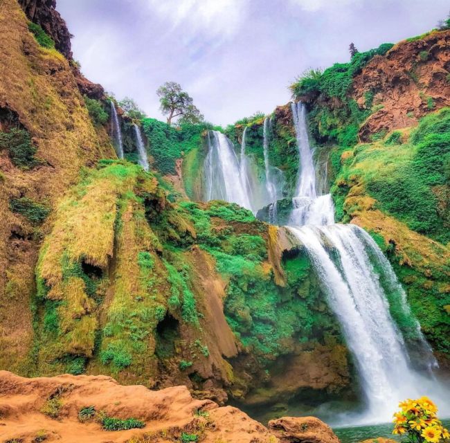 Day trip from Marrakech to Ouzoud Waterfalls - Lunch at a Berber restaurant