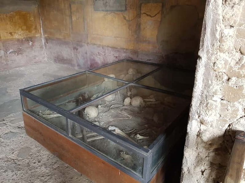 Day Trip from Rome: Explore Pompeii & Sorrento Amalfi Coast - Why this Rome day trip works