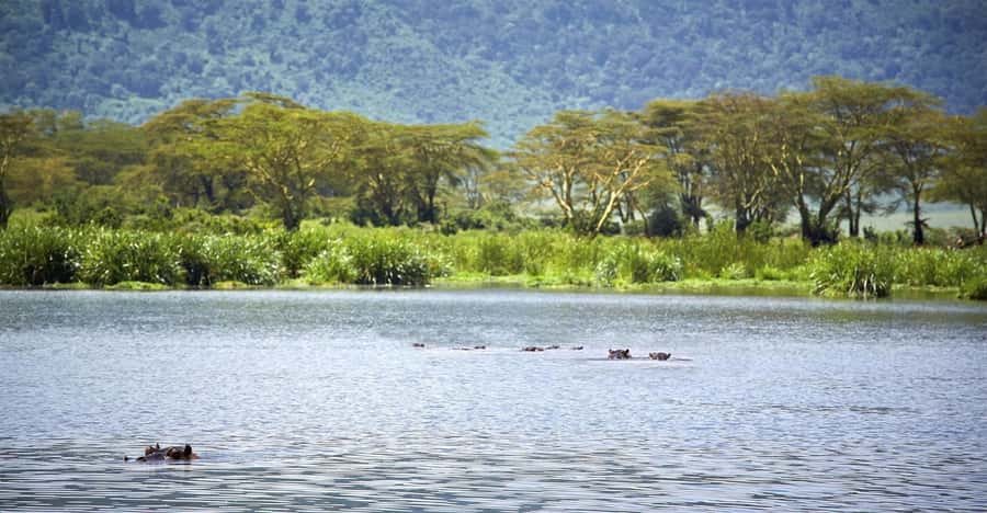 Day Trip: Hell's Gate Bike Ride & Lake Naivasha Boat Ride - Lunch, timing, and the real price