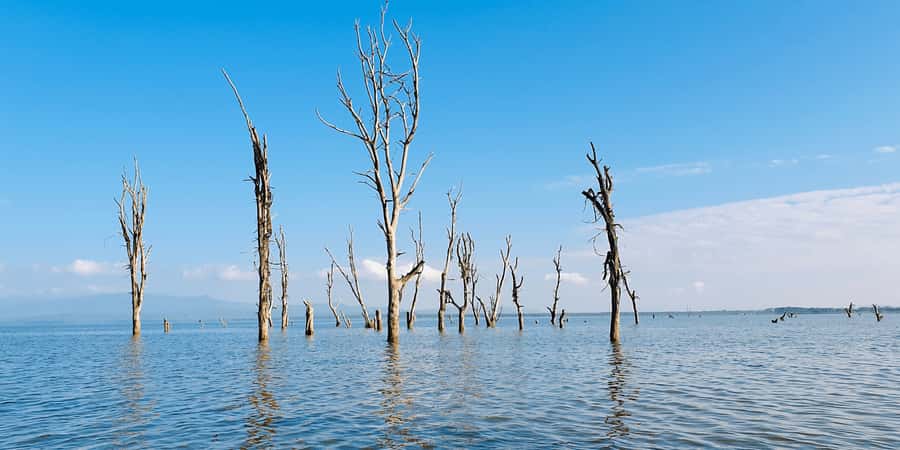 Day Trip: Hell's Gate Bike Ride & Lake Naivasha Boat Ride - Should you book Hell’s Gate and Lake Naivasha?