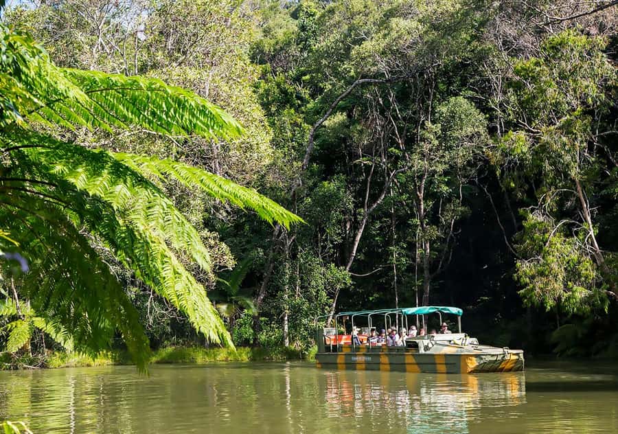 Day Trip: Rainforest & Aboriginal Culture Tour - Riding the World War II Army Duck