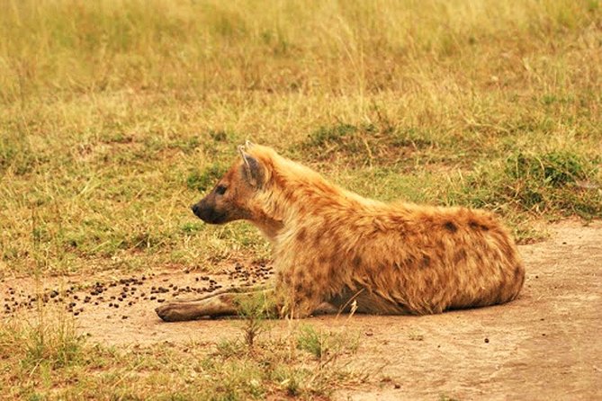 Day Trip Safari - Akagera National Park with Optional Lake Ihema Boat Safari - Lake Ihema adds a quieter hour
