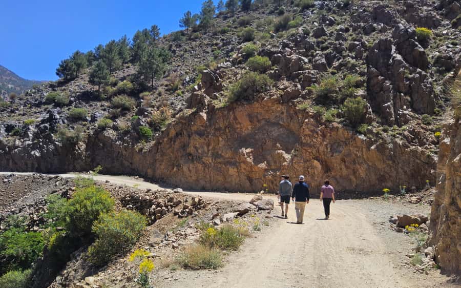 Day Trip To Atlas Mountain and Berber Village From Marrakech - Lunch at the Berber ecolodge