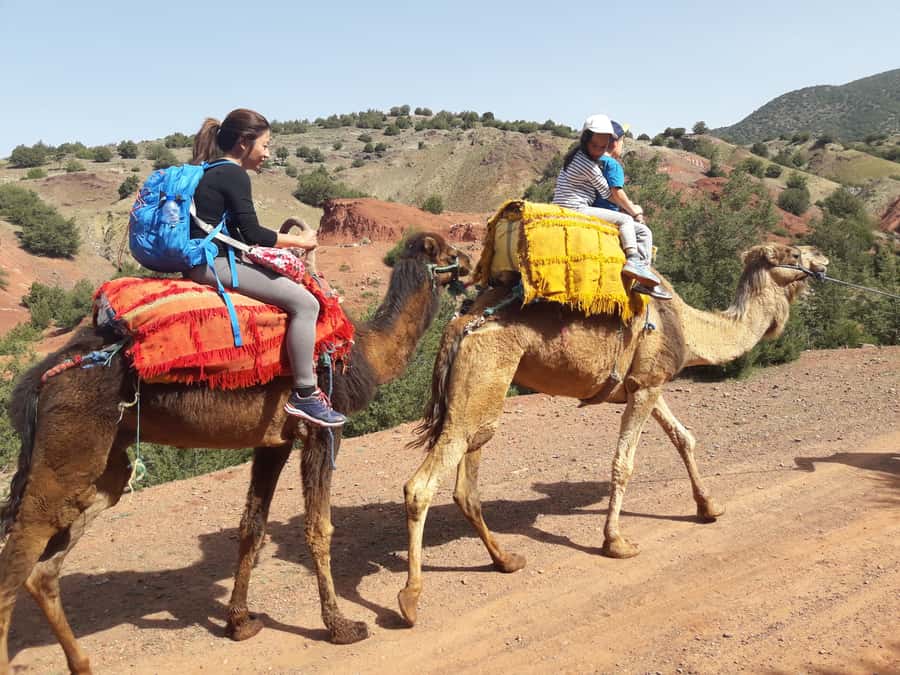 Day Trip To Atlas Mountain and Berber Village From Marrakech - The waterfall and the final stretch
