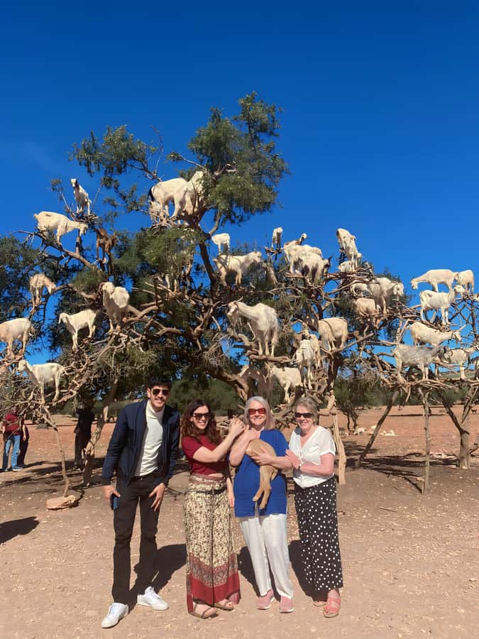 Day trip to Essaouira - Key points to know before booking