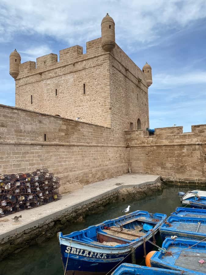 Day trip to Essaouira - The beach and Atlantic air