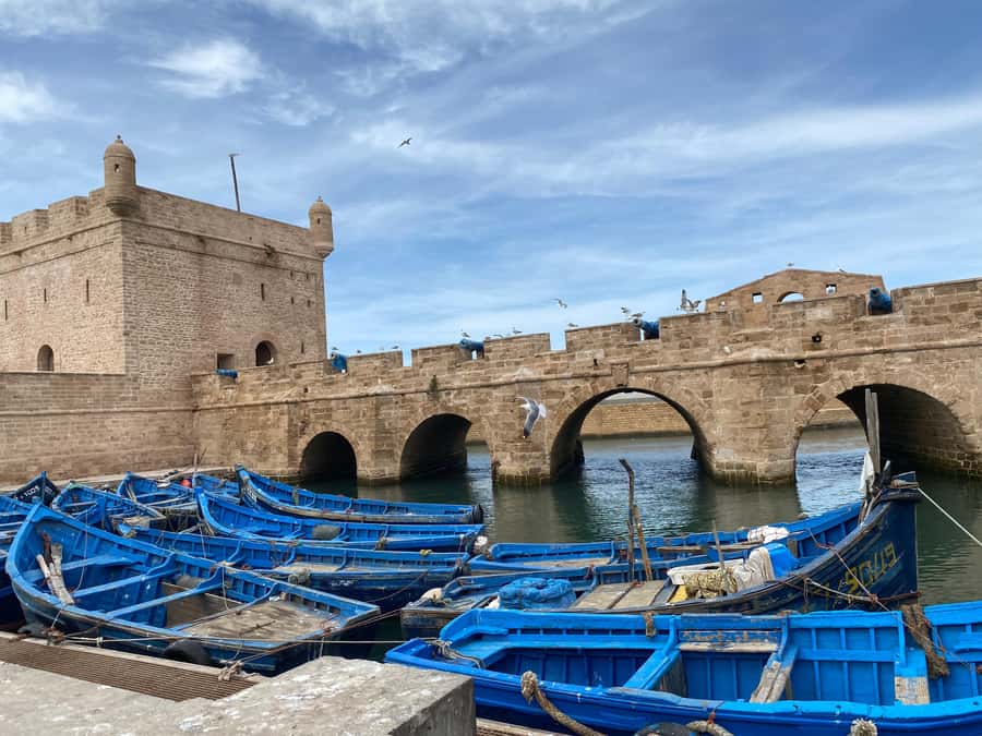 Day trip to Essaouira - Food, shopping, and the value of free time