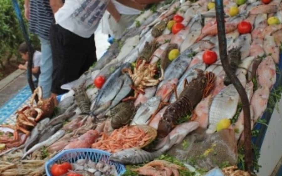 DAY TRIP TO ESSAOUIRA FROM MARRAKECH - Who should book this $15 excursion?