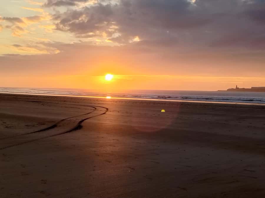 Day Trip To Essaouira From Marrakech With Guide - The return journey to Marrakech