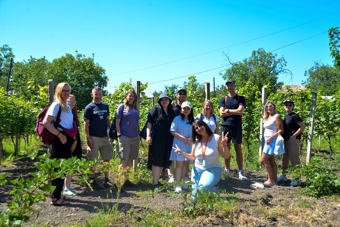 Day Trip to Kakheti Wine Region Including 9 Wine Tastings - Sighnaghi means views, walls, and a lunch decision