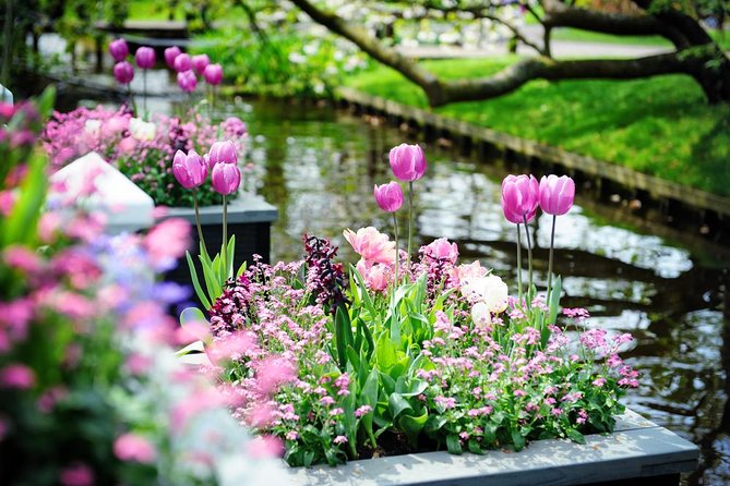 Day Trip to Keukenhof Gardens from Amsterdam with Tour Guide - How the return journey affects the day