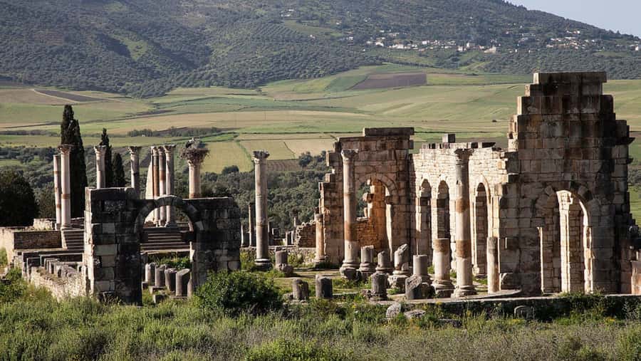 Day trip to meknes ,volubilis , moulay idris - The drivers can make or break the day