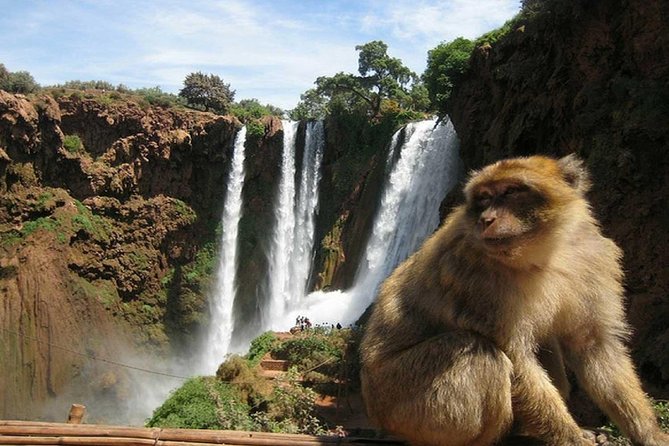 Day Trip To Ouzoud Waterfalls (Guide Hike & Boat are options) - How much time do you really get at Ouzoud?
