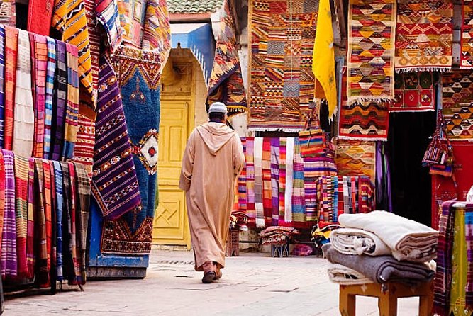 Day Trips from Agadir to Marrakech with Amazing guide - Menara Gardens and Majorelle Gardens
