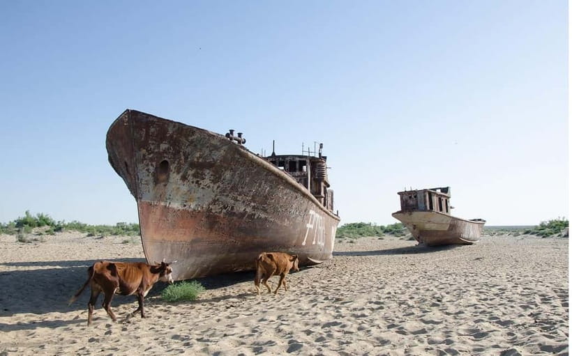 Daytrip from Khiva to Aral Sea Cemetery of Ships. All in one - Key points before you book