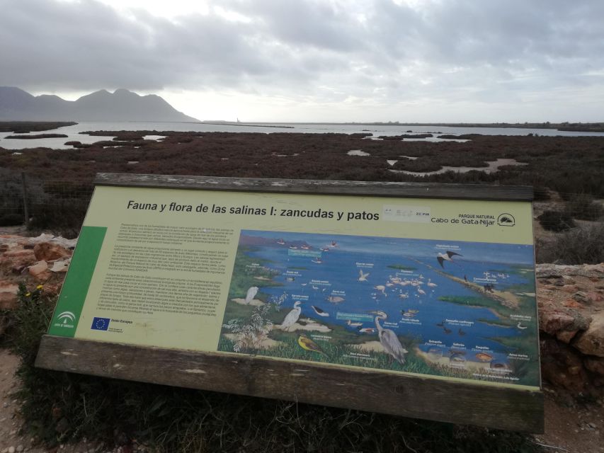 Daytrip to Cabo de Gata–Nijar Natural Park - Cabo de Gata lighthouse and the open sea