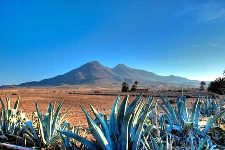Daytrip to Cabo de Gata–Nijar Natural Park - The bus ride and the value of a guided day