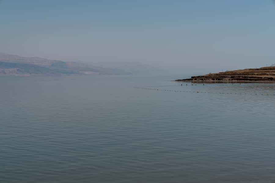 Dead Sea Full-Day Trip from Tel Aviv - Floating in water that barely lets you sink
