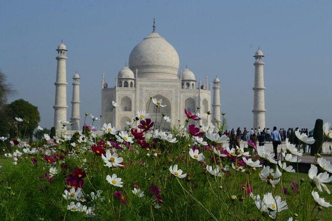 Delhi to Agra and Taj Mahal Private Day Trip by Express Train with Lunch - Why the express train makes Agra possible in one day