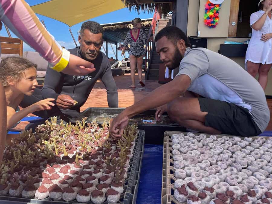 Denarau: Seventh Heaven Floating Bar Day Trip - Who Will Enjoy This Day Most