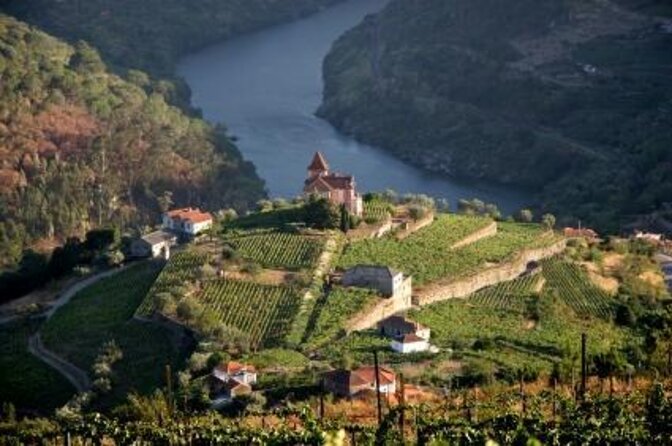 Douro Valley Private Day Trip including Boat Ride & Wine Tasting - Key things to know before booking