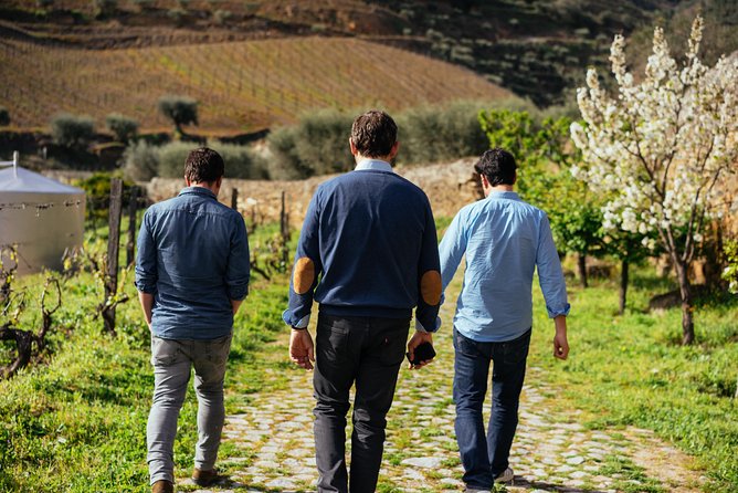 Douro Valley Private Day Trip including Boat Ride & Wine Tasting - Why the Douro Valley makes a strong day from Porto