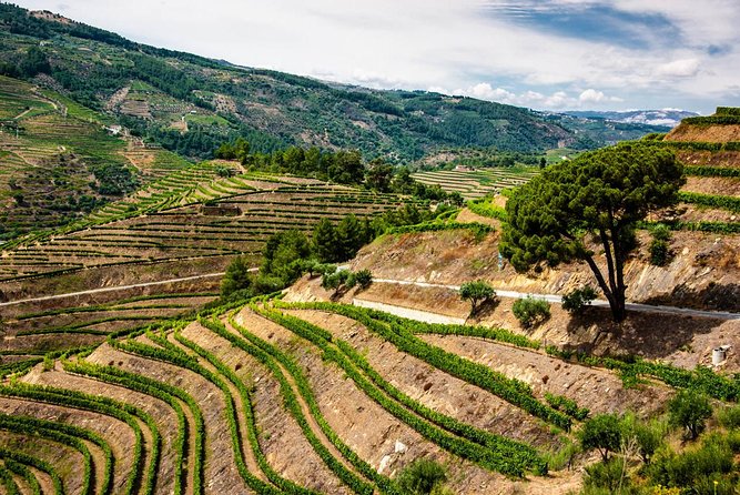 Douro Valley Private Day Trip including Boat Ride & Wine Tasting - Viewpoints and photo stops across the valley