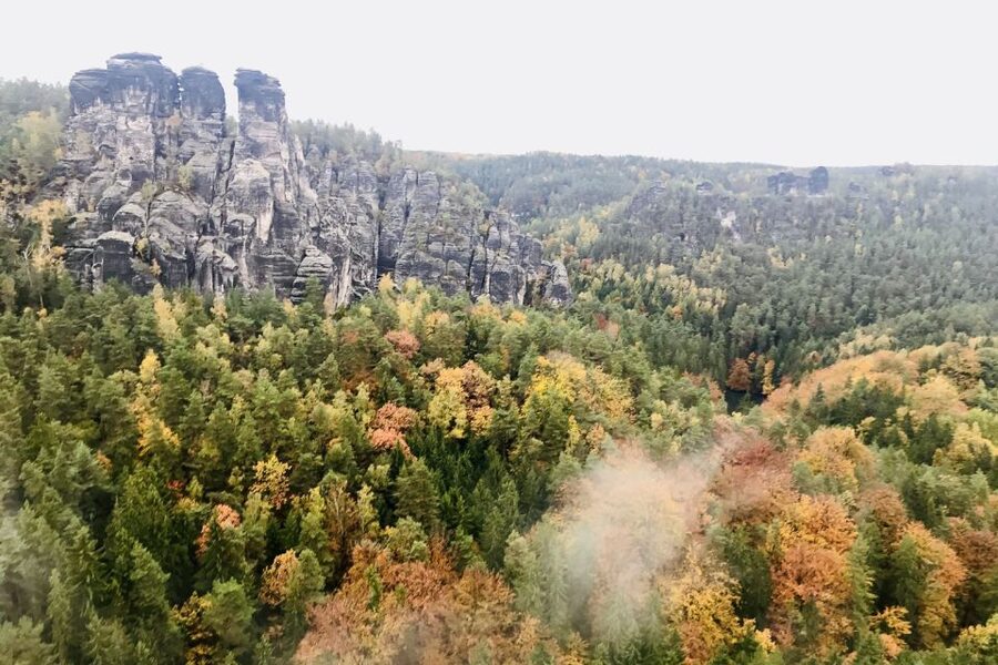 Dresden: Hassle-free trip to Bohemian and Saxon Switzerland - Practical details before you reserve
