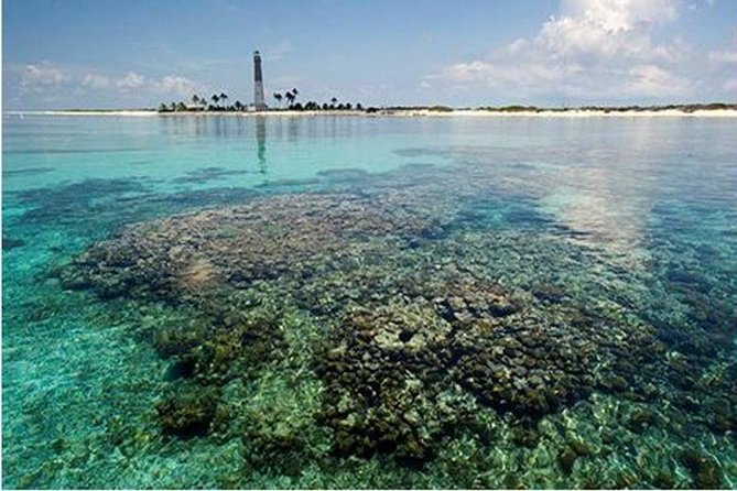 Dry Tortugas National Park Day Trip by Catamaran from Key West - Snorkeling around the coral reef