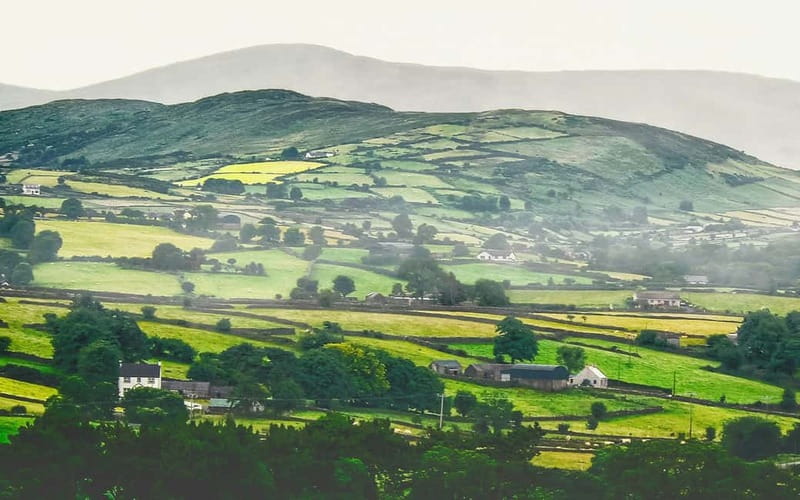 Dublin: Cliffs of Moher, Bunratty Castle and Ennis Day Trip - The bilingual guide can make or break the day
