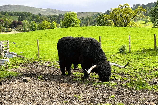 Edinburgh: Loch Ness, Glencoe & The Highlands - Fort William is the practical midpoint