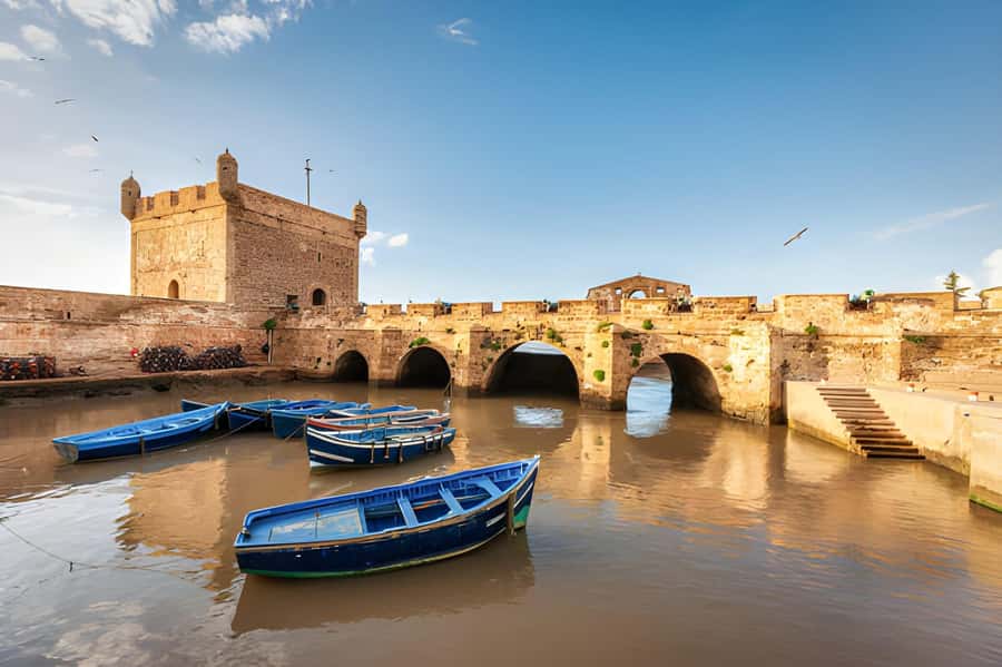 Essaouira Day Trip from Agadir - Free time is the best part for independent exploring