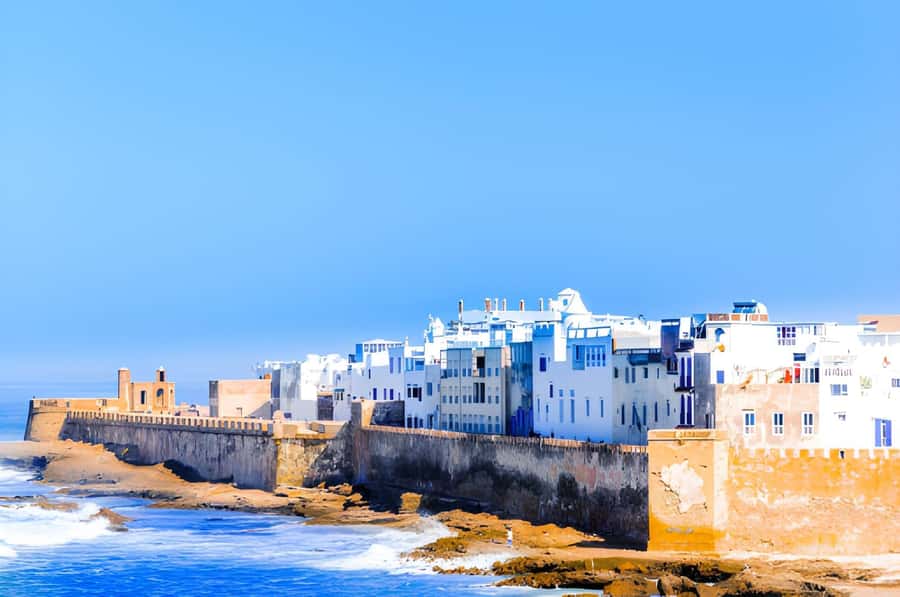 Essaouira Day Trip from Agadir - Goats, argan trees, and a rural coffee stop