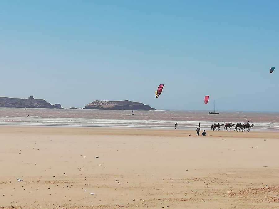 Essaouira Day Trip from Marrakech _ medina, old port - Useful Tips for Making the Day Better