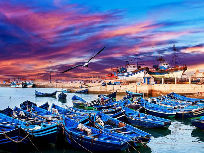 Essaouira Full Day Trip From Marrakech - Should you book the Essaouira trip?