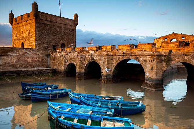 Essaouira Full Day Trip From Marrakech - How much free time will you have?